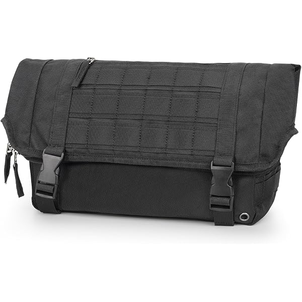 Amazon | デイトナ(Daytona) W800 W650 W400専用 サイドバッグサポート